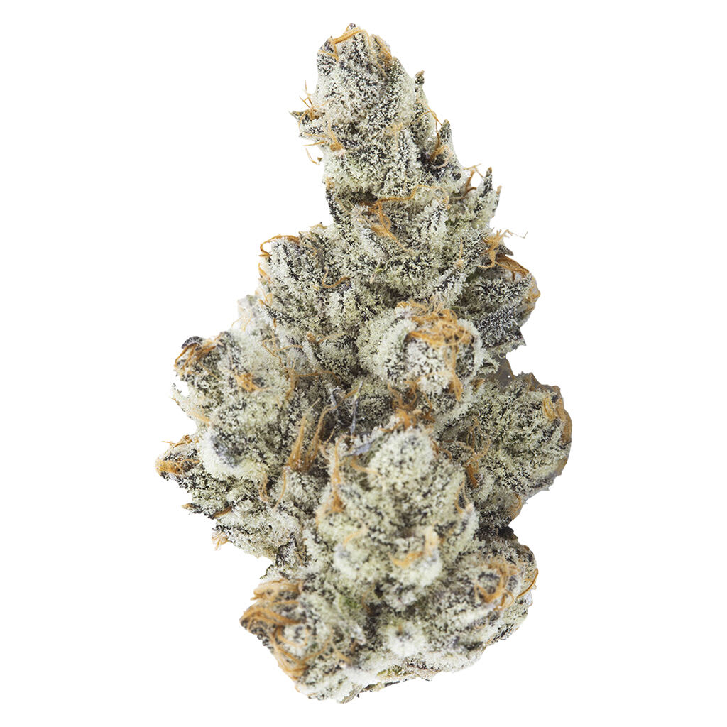 3rd Coast Genetics - Black Truffle - Black Truffle 7g Dried Flower